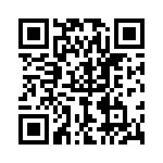 P6KE13 QRCode