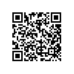 RG2012P-163-B-T1 QRCode