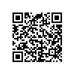 RNC55H9313BSRSL QRCode