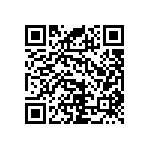 RNC55J2522BSRE6 QRCode