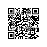 RNCF2512DTE102K QRCode