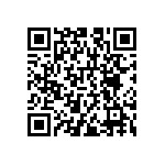 RNCS1206BKE16K2 QRCode