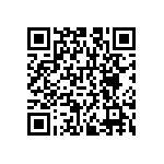 RNCS1206BKE3K28 QRCode