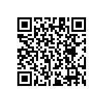 RT1206DRD0711K3L QRCode