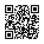 RT134048 QRCode