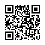 T38417-17-0 QRCode