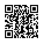 T38545-12-0 QRCode