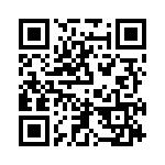 TH13 QRCode