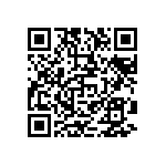 TNPW12061K13BETA QRCode