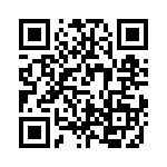 VE13P00141K QRCode