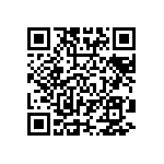 VG95234M-22-2S1N QRCode