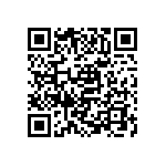 VJ1206Y272KBCAT4X QRCode