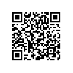 XQEAWT-H0-0000-00000BFE1-SB01 QRCode