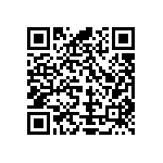 Y17454K99000T0R QRCode