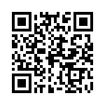 026131011203 QRCode