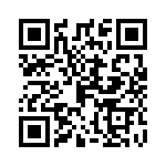 02810010H QRCode