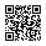 0383305704 QRCode