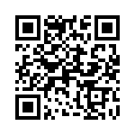 0387207409 QRCode