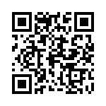 0387290989 QRCode