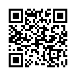 0387307205 QRCode