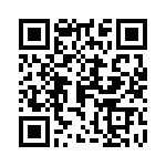 0387321304 QRCode