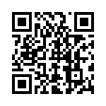 04025C152KAQ2A QRCode