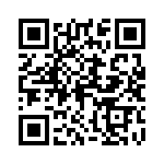 04025C202JAT2A QRCode