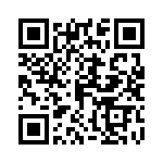 04025C331KAT4A QRCode