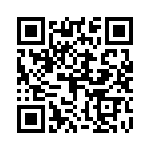 04025U1R8CAT2A QRCode