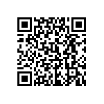 0505J2500131JQT QRCode