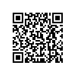 0505J250P300HQT QRCode