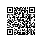 0505J3006P20BQT QRCode