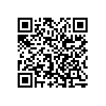 0505Y0638P20BQT QRCode