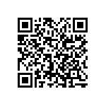 0505Y1006P80HQT QRCode