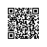 0505Y100P300BQT QRCode