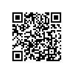 0505Y2002P10BQT QRCode