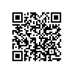 0505Y200P300DQT QRCode