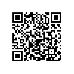 0505Y2500300KQT QRCode