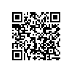 0505Y2504P30BQT QRCode