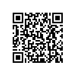 0505Y250P500DQT QRCode