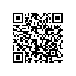 0505Y250P700HQT QRCode