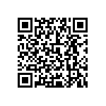 0505Y3004P00DQT QRCode