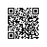 0505Y300P200BQT QRCode