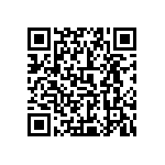 0505Y300P300DQT QRCode