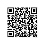 0505Y300P600DQT QRCode