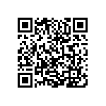 0505Y300P700DQT QRCode