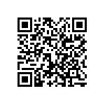 0505Y300P800BQT QRCode