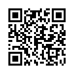 06033C333K4T2A QRCode