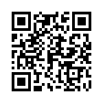 06033C393K4T2A QRCode