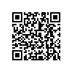 0603Y3004P00DQT QRCode